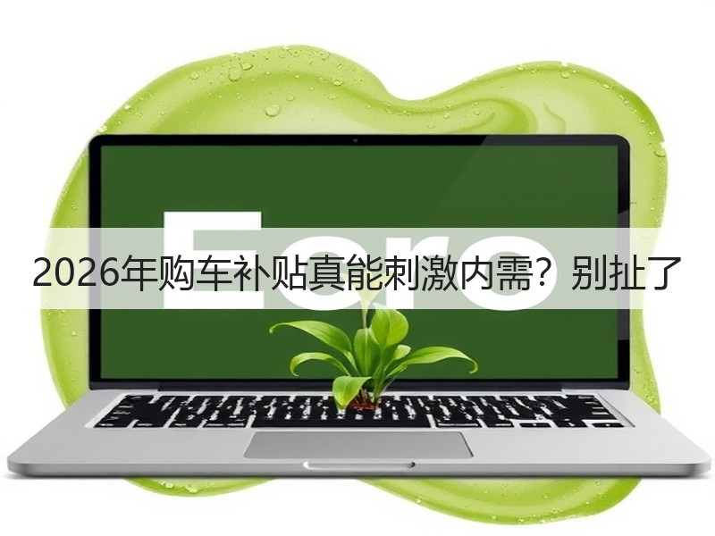 2026年购车补贴真能刺激内需？别扯了