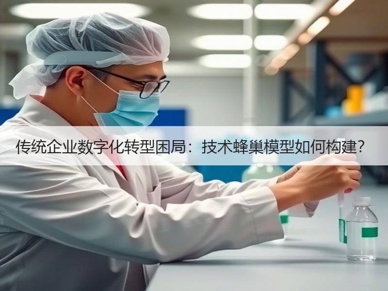 传统企业数字化转型困局：技术蜂巢模型如何