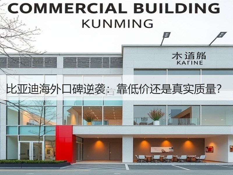 比亚迪海外口碑逆袭：靠低价还是真实质量？