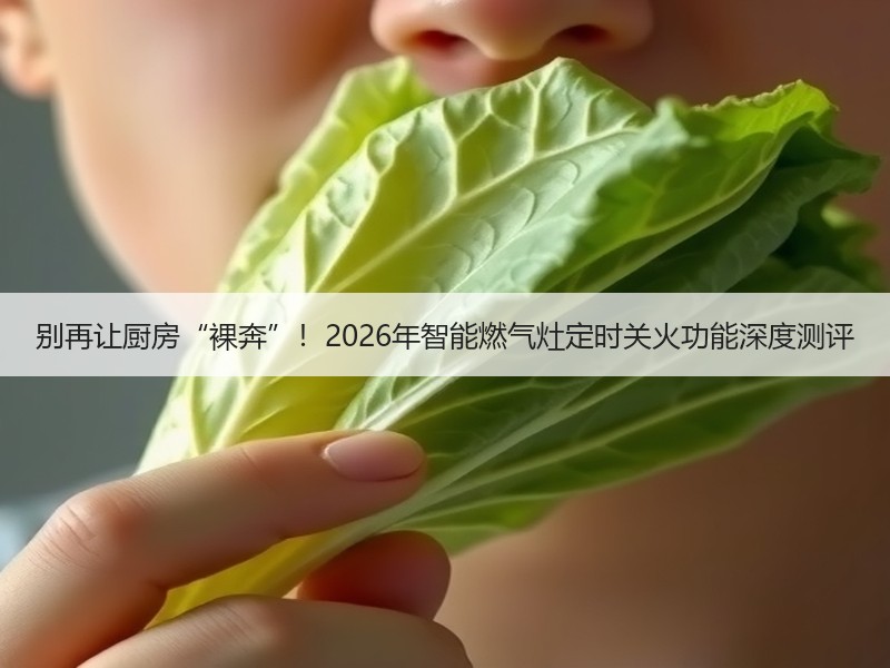 别再让厨房“裸奔”！2026年智能燃气灶