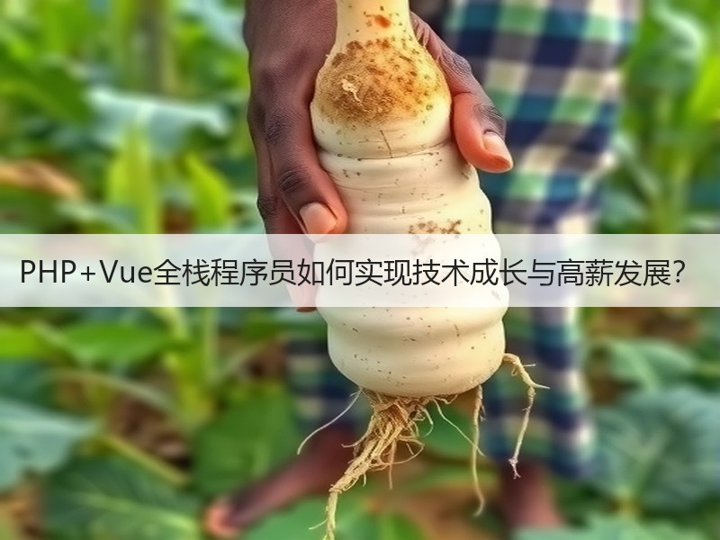 PHP+Vue全栈程序员如何实现技术成长
