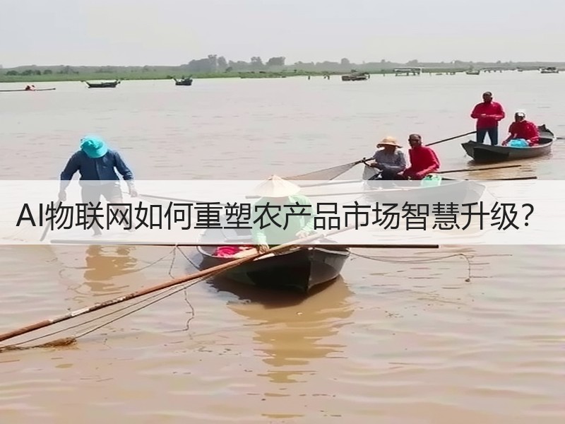 AI物联网如何重塑农产品市场智慧升级？
