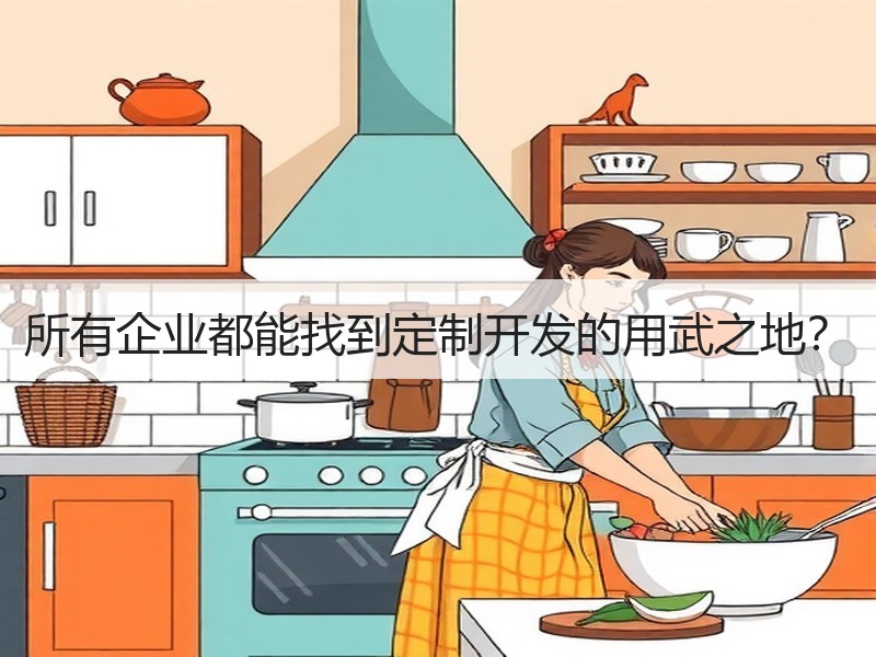 所有企业都能找到定制开发的用武之地？