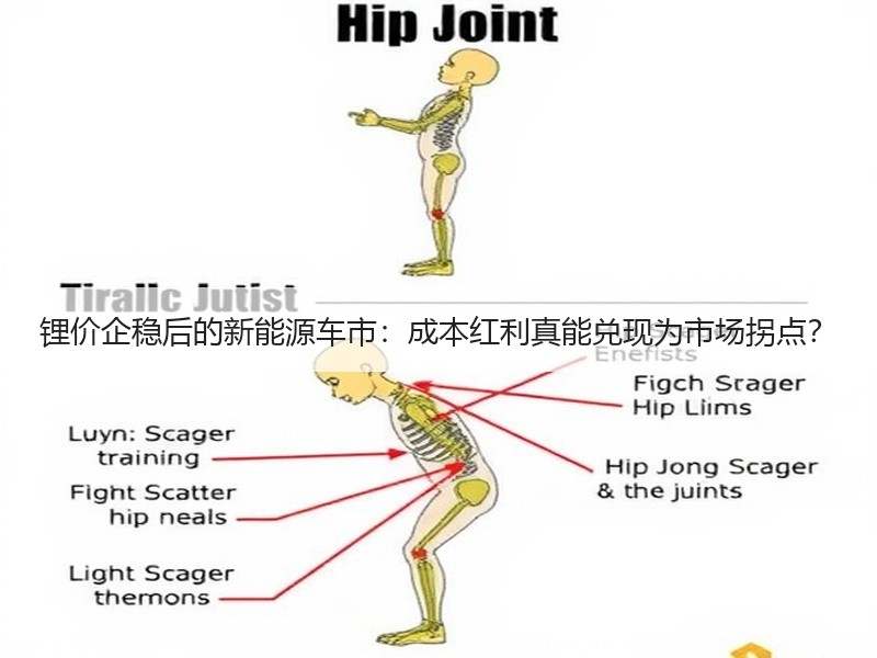 锂价企稳后的新能源车市：成本红利真能兑现
