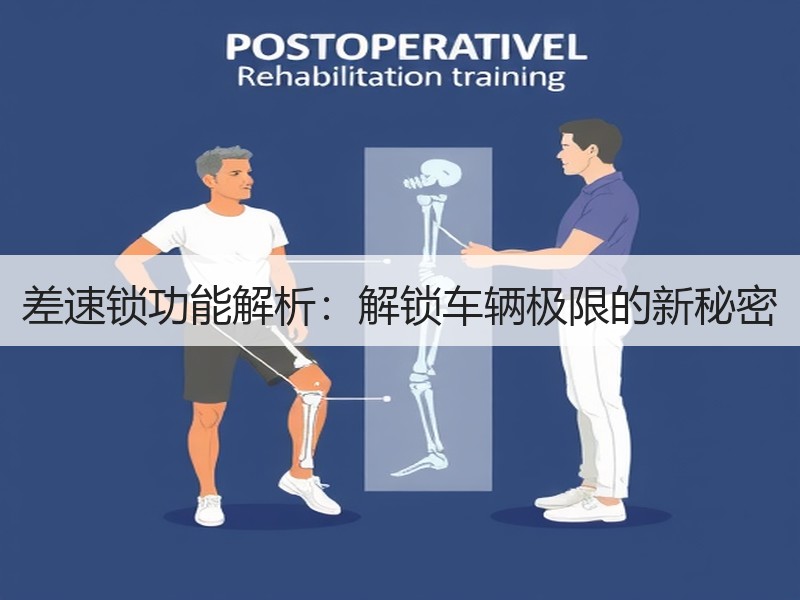 差速锁功能解析：解锁车辆极限的新秘密