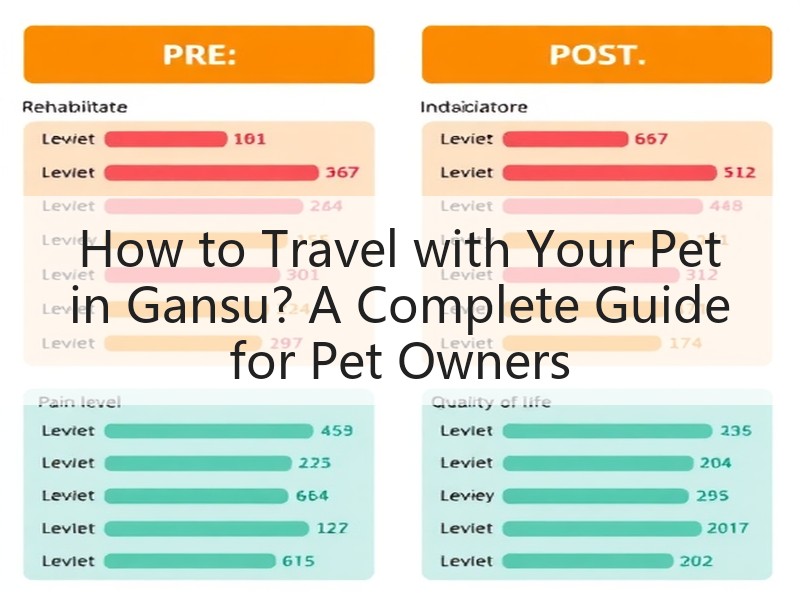 How to Travel with Y