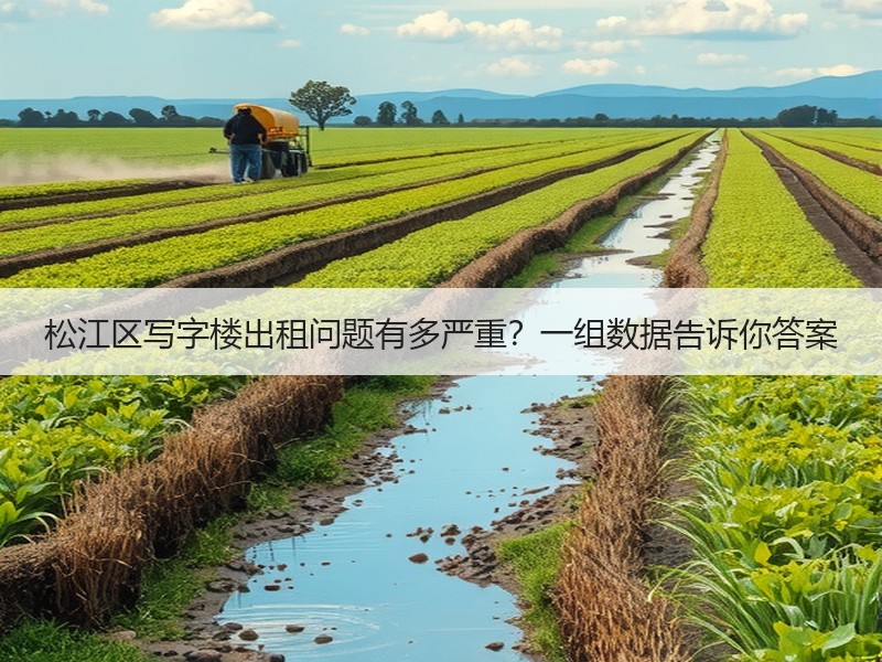 松江区写字楼出租问题有多严重？一组数据告