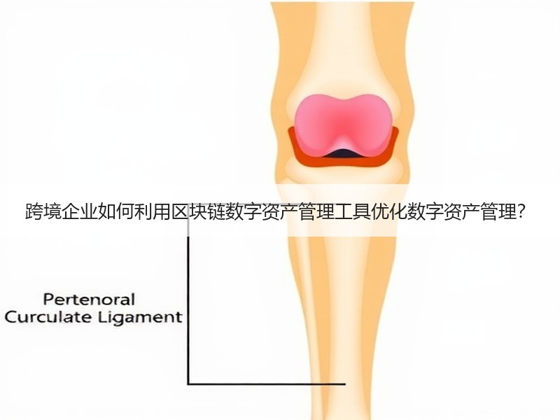 跨境企业如何利用区块链数字资产管理工具优