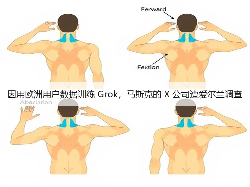 因用欧洲用户数据训练 Grok，马斯克的