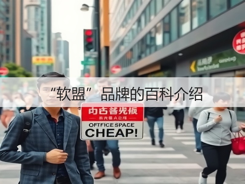 “软盟”品牌的百科介绍