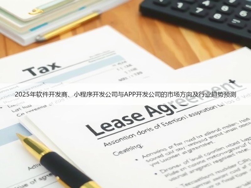 2025年软件开发商、小程序开发公司与A
