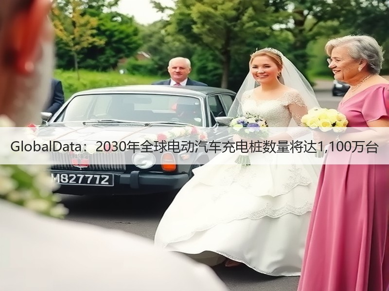 GlobalData：2030年全球电动