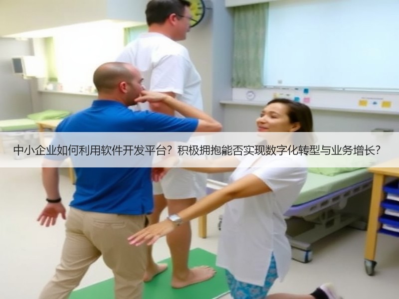 中小企业如何利用软件开发平台？积极拥抱能