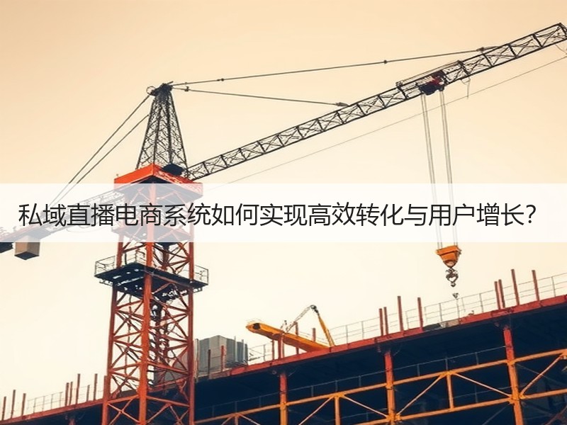 私域直播电商系统如何实现高效转化与用户增