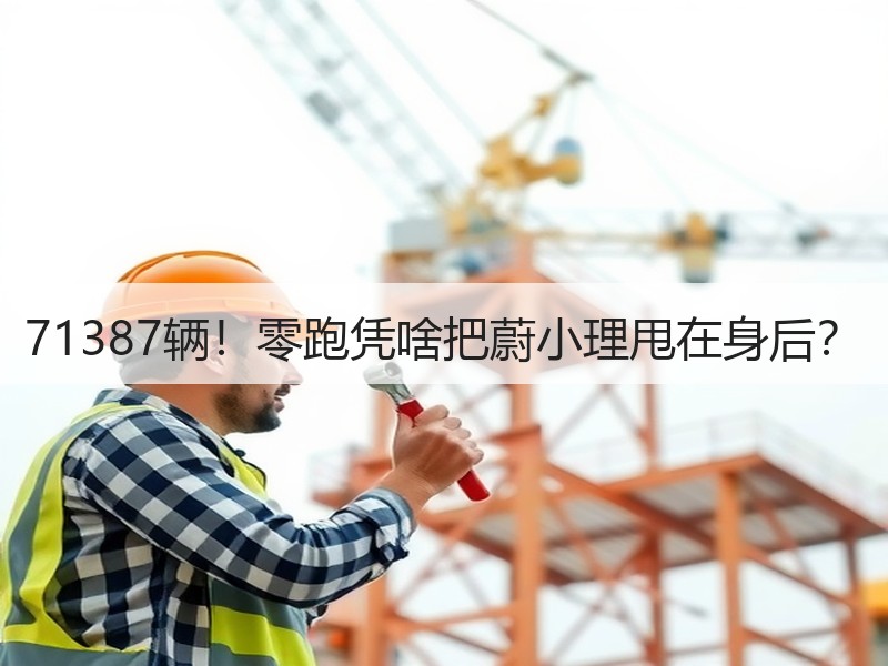 71387辆！零跑凭啥把蔚小理甩在身后？