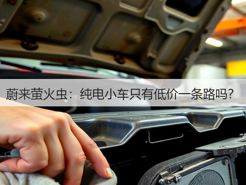 蔚来萤火虫：纯电小车只有低价一条路吗？