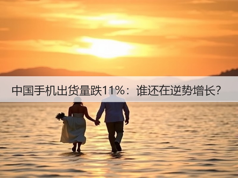 中国手机出货量跌11%：谁还在逆势增长？