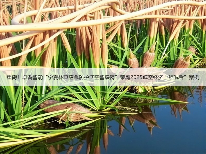 重磅！卓翼智能“宁夏林草应急防护低空智联
