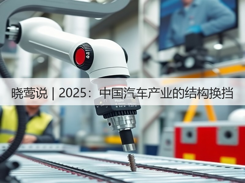晓莺说 | 2025：中国汽车产业的结构