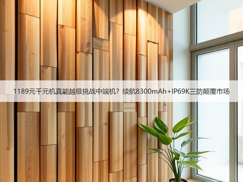 1189元千元机真能越级挑战中端机？续航