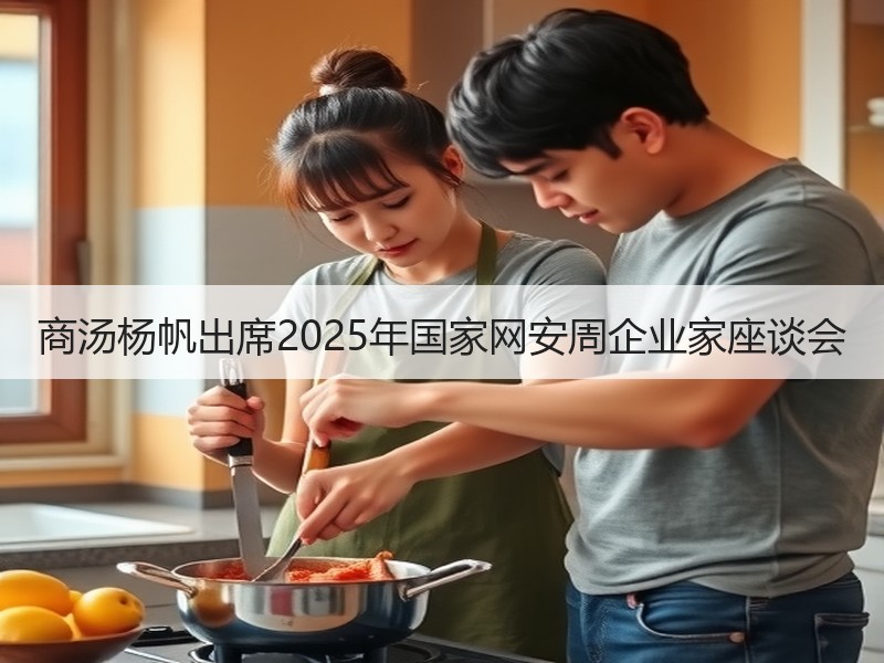 商汤杨帆出席2025年国家网安周企业家座