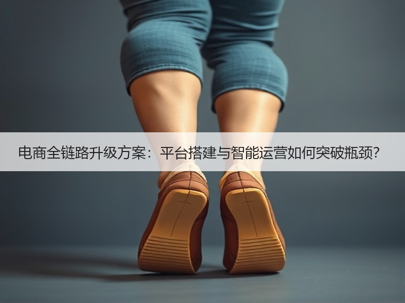 电商全链路升级方案：平台搭建与智能运营如