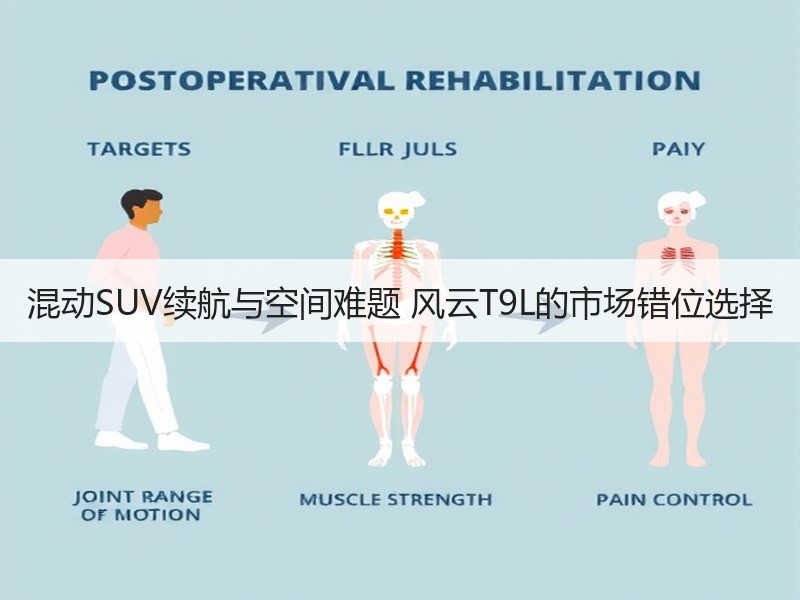 混动SUV续航与空间难题 风云T9L的市