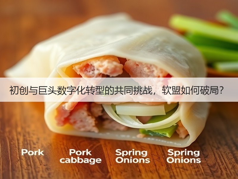 初创与巨头数字化转型的共同挑战，软盟如何