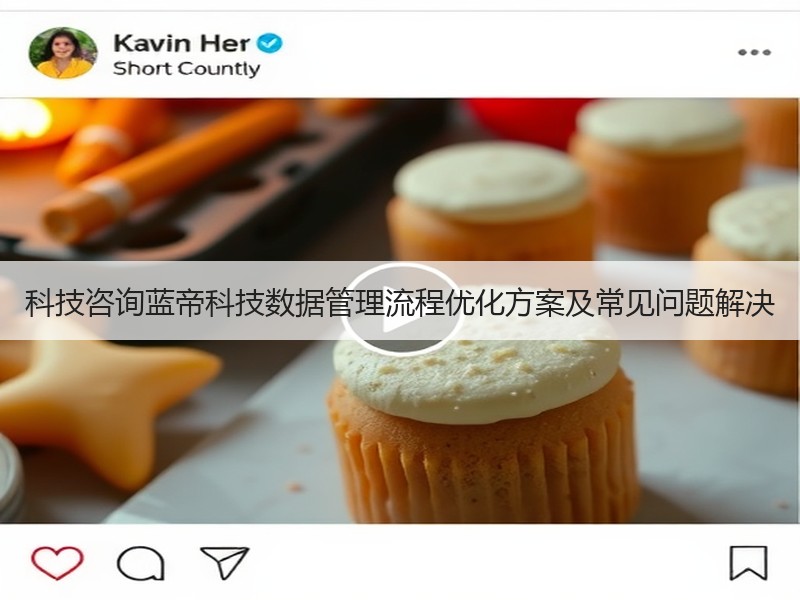 科技咨询蓝帝科技数据管理流程优化方案及常