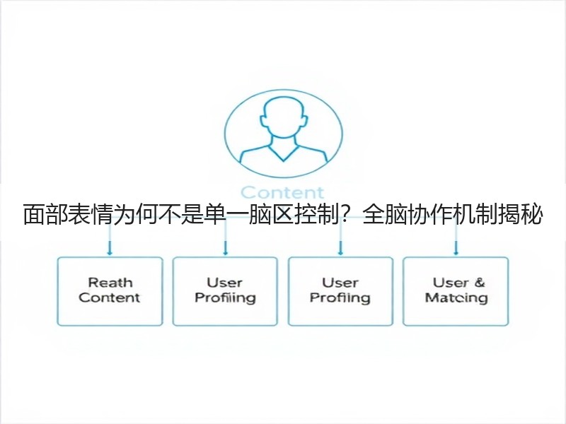 面部表情为何不是单一脑区控制？全脑协作机