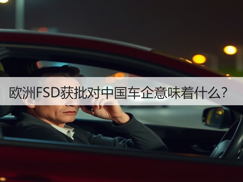 欧洲FSD获批对中国车企意味着什么？