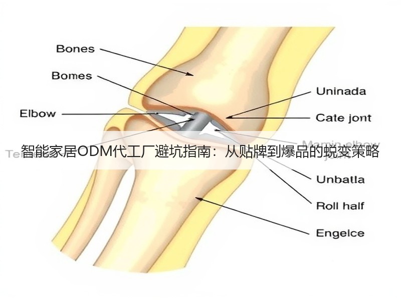 智能家居ODM代工厂避坑指南：从贴牌到爆